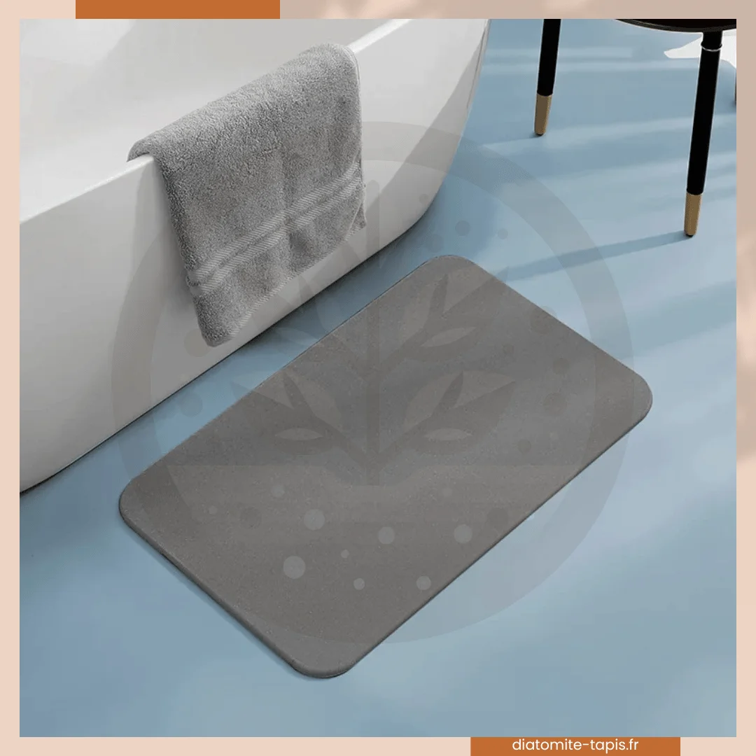 Tapis de Bain en Diatomite 4 Couleurs Disponibles 3 Tailles Disponibles diatomitetapis.fr